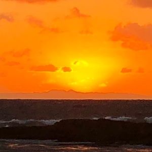 Meet your Posher, Owen